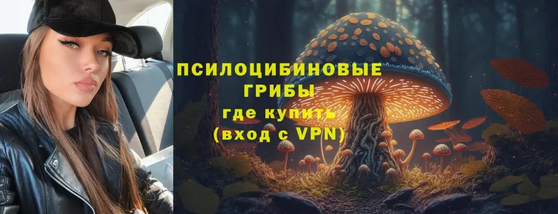 Псилоцибиновые грибы Cubensis  ОМГ ОМГ зеркало  Рославль  дарнет шоп 